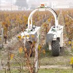 Côtes du Robot, historic French vineyard goes high-tech