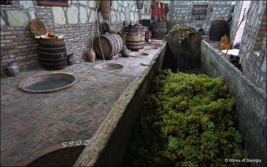 Natural Wines