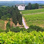 Want To Buy A Vineyard In France?