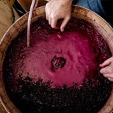 An oak revolution is underway in the world 