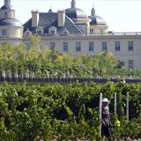 China sends vines into space in quest for perfect wine