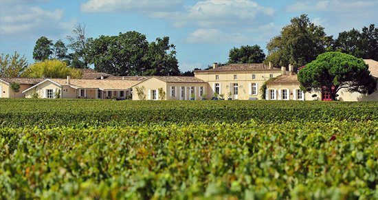 Domaine de Chevalier