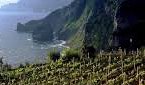 Madeira re-discovered