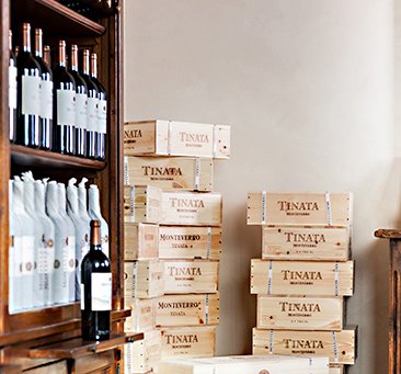 The Tinata