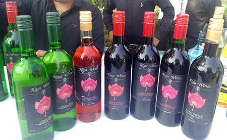 The wines