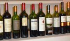 Feting Malbec on its Day