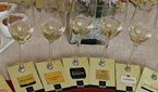 Celebrating Champagne
